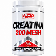 WHY SPORT CREATINA 200 MESH – 100% CREATINA MONOIDRATO MICRONIZZATA