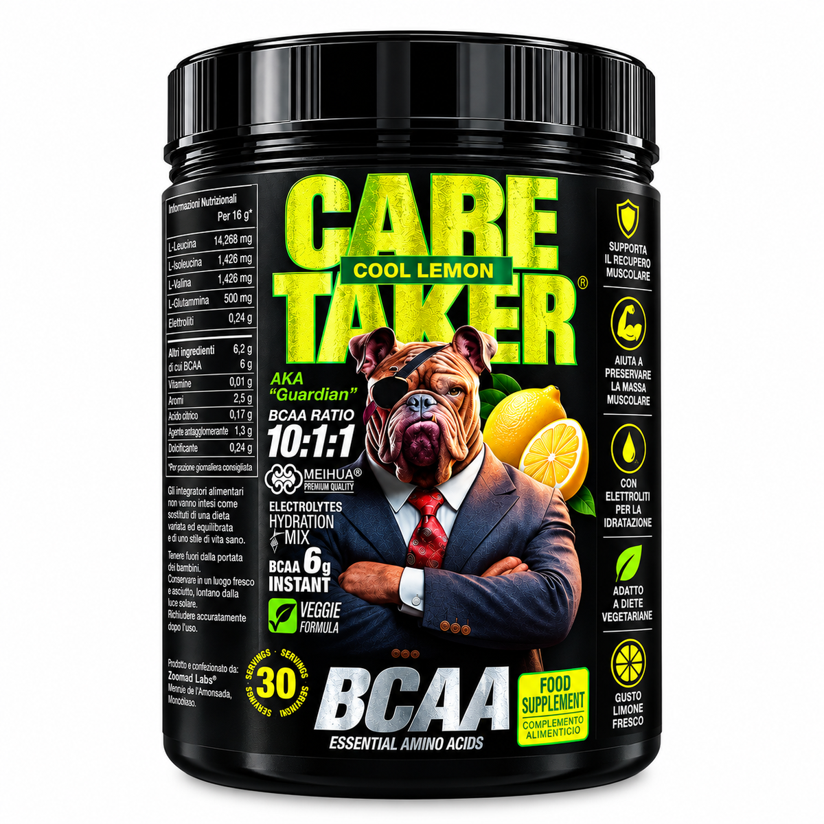 CARE TAKER – BCAA 10:1:1 – 480 G