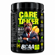 CARE TAKER – BCAA 10:1:1 – 480 G
