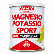 WHY SPORT MAGNESIO POTASSIO SPORT CON CARBOIDRATI 300 G – INTEGRATORE DI SALI MINERALI GUSTO AGRUMI