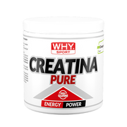 CREATINA PURE 300 g WHY SPORT
