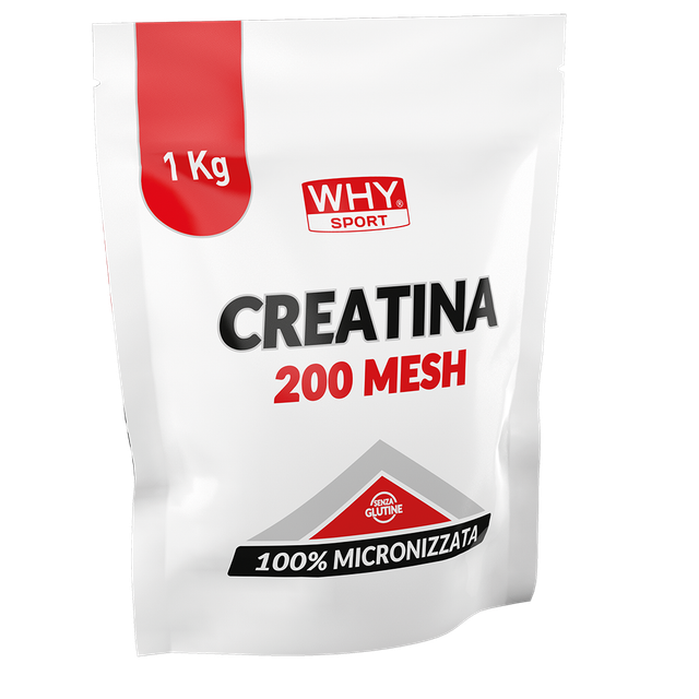 WHY SPORT CREATINA 200 MESH – 100% CREATINA MONOIDRATO MICRONIZZATA