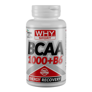 BCAA 1000 + B6 100 CPS