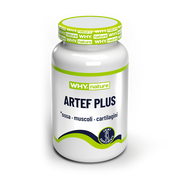 ARTEF PLUS 60 cpr