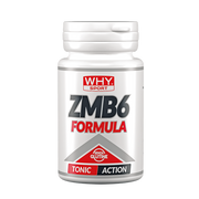 ZMB6 WHY