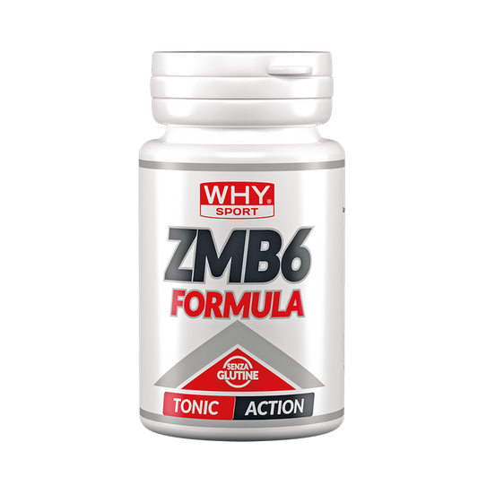 ZMB6