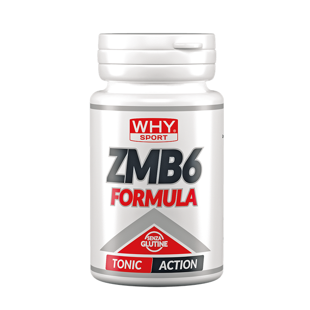 ZMB6 WHY